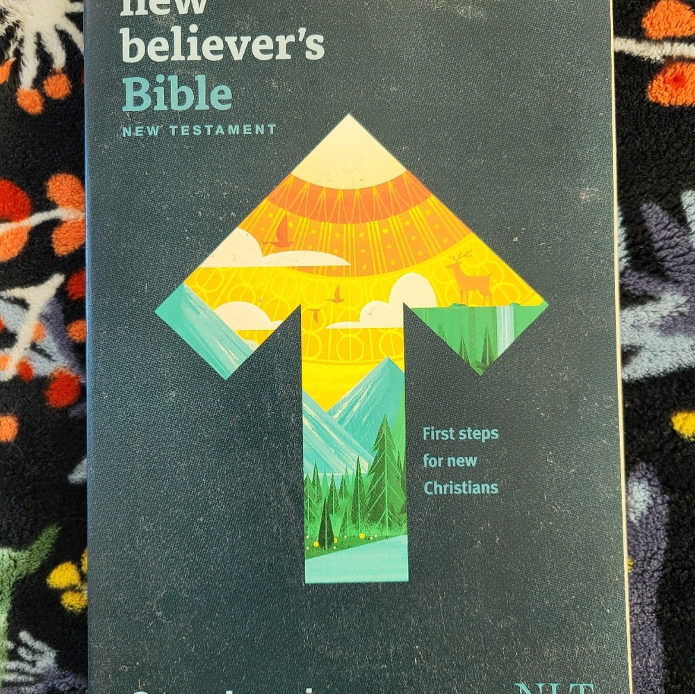 New Believer's Bible New Testament